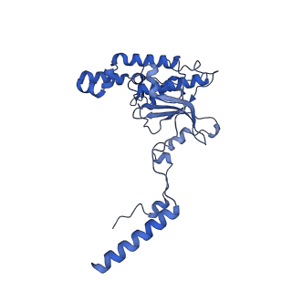 16905_8oj5_LD_v1-2
60S ribosomal subunit bound to the E3-UFM1 complex - state 3 (in-vitro reconstitution)