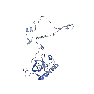 16905_8oj5_LE_v1-2
60S ribosomal subunit bound to the E3-UFM1 complex - state 3 (in-vitro reconstitution)