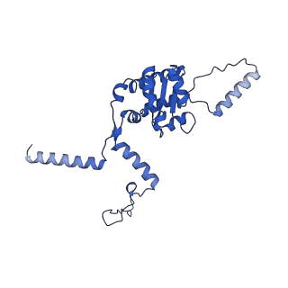 16905_8oj5_LG_v1-2
60S ribosomal subunit bound to the E3-UFM1 complex - state 3 (in-vitro reconstitution)