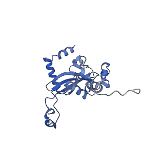 16905_8oj5_LN_v1-2
60S ribosomal subunit bound to the E3-UFM1 complex - state 3 (in-vitro reconstitution)