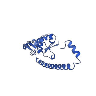 16905_8oj5_LO_v1-2
60S ribosomal subunit bound to the E3-UFM1 complex - state 3 (in-vitro reconstitution)
