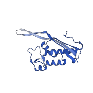 16905_8oj5_LP_v1-2
60S ribosomal subunit bound to the E3-UFM1 complex - state 3 (in-vitro reconstitution)