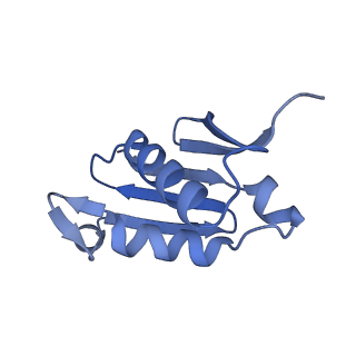 16905_8oj5_LU_v1-2
60S ribosomal subunit bound to the E3-UFM1 complex - state 3 (in-vitro reconstitution)