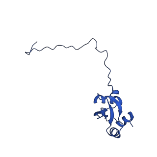 16905_8oj5_LX_v1-2
60S ribosomal subunit bound to the E3-UFM1 complex - state 3 (in-vitro reconstitution)