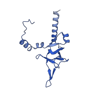 16905_8oj5_LY_v1-2
60S ribosomal subunit bound to the E3-UFM1 complex - state 3 (in-vitro reconstitution)