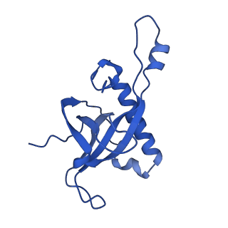 16905_8oj5_LZ_v1-2
60S ribosomal subunit bound to the E3-UFM1 complex - state 3 (in-vitro reconstitution)