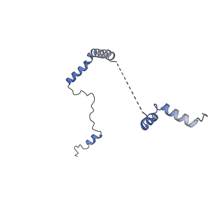 16905_8oj5_Lb_v1-2
60S ribosomal subunit bound to the E3-UFM1 complex - state 3 (in-vitro reconstitution)