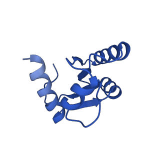 16905_8oj5_Lc_v1-2
60S ribosomal subunit bound to the E3-UFM1 complex - state 3 (in-vitro reconstitution)