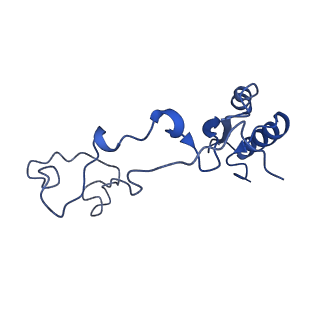 16905_8oj5_Le_v1-2
60S ribosomal subunit bound to the E3-UFM1 complex - state 3 (in-vitro reconstitution)