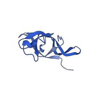 16905_8oj5_Lf_v1-2
60S ribosomal subunit bound to the E3-UFM1 complex - state 3 (in-vitro reconstitution)