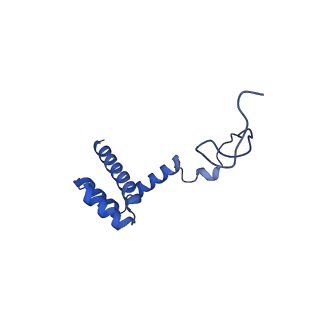 16905_8oj5_Li_v1-2
60S ribosomal subunit bound to the E3-UFM1 complex - state 3 (in-vitro reconstitution)