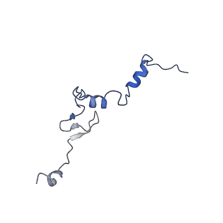 16905_8oj5_Lj_v1-2
60S ribosomal subunit bound to the E3-UFM1 complex - state 3 (in-vitro reconstitution)