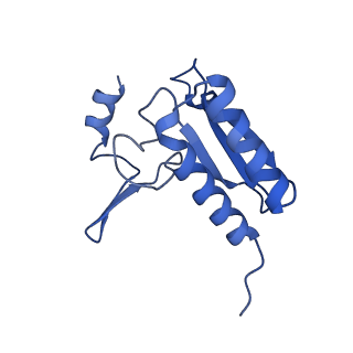 16905_8oj5_Lr_v1-2
60S ribosomal subunit bound to the E3-UFM1 complex - state 3 (in-vitro reconstitution)