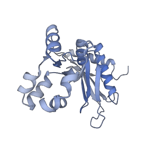 16905_8oj5_Lz_v1-2
60S ribosomal subunit bound to the E3-UFM1 complex - state 3 (in-vitro reconstitution)