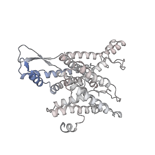 16908_8oj8_1_v1-2
60S ribosomal subunit bound to the E3-UFM1 complex - state 1 (native)