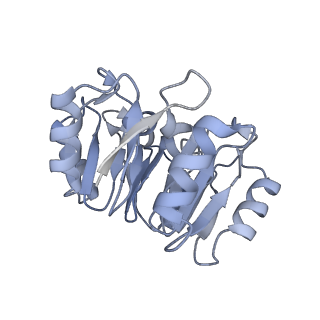 16908_8oj8_K_v1-2
60S ribosomal subunit bound to the E3-UFM1 complex - state 1 (native)