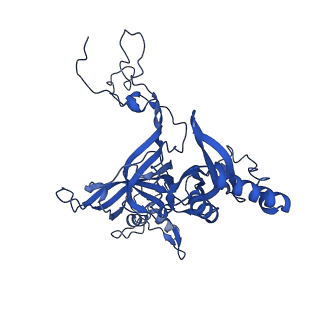 16908_8oj8_LB_v1-2
60S ribosomal subunit bound to the E3-UFM1 complex - state 1 (native)