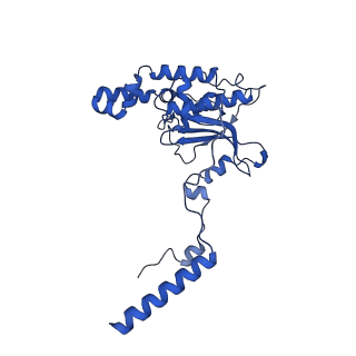 16908_8oj8_LD_v1-2
60S ribosomal subunit bound to the E3-UFM1 complex - state 1 (native)