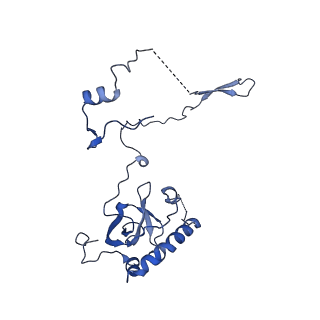 16908_8oj8_LE_v1-2
60S ribosomal subunit bound to the E3-UFM1 complex - state 1 (native)