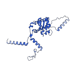 16908_8oj8_LG_v1-2
60S ribosomal subunit bound to the E3-UFM1 complex - state 1 (native)