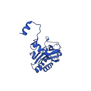 16908_8oj8_LI_v1-2
60S ribosomal subunit bound to the E3-UFM1 complex - state 1 (native)
