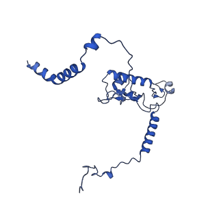 16908_8oj8_LL_v1-2
60S ribosomal subunit bound to the E3-UFM1 complex - state 1 (native)