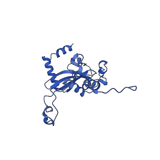 16908_8oj8_LN_v1-2
60S ribosomal subunit bound to the E3-UFM1 complex - state 1 (native)