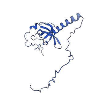 16908_8oj8_LT_v1-2
60S ribosomal subunit bound to the E3-UFM1 complex - state 1 (native)