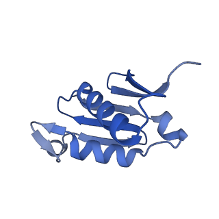 16908_8oj8_LU_v1-2
60S ribosomal subunit bound to the E3-UFM1 complex - state 1 (native)