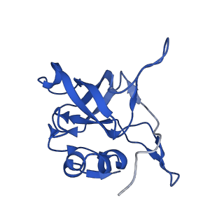 16908_8oj8_LV_v1-2
60S ribosomal subunit bound to the E3-UFM1 complex - state 1 (native)
