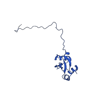 16908_8oj8_LX_v1-2
60S ribosomal subunit bound to the E3-UFM1 complex - state 1 (native)