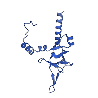 16908_8oj8_LY_v1-2
60S ribosomal subunit bound to the E3-UFM1 complex - state 1 (native)