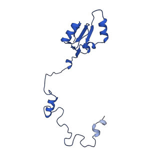 16908_8oj8_La_v1-2
60S ribosomal subunit bound to the E3-UFM1 complex - state 1 (native)