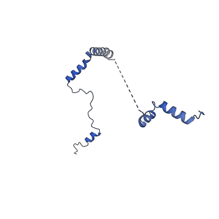 16908_8oj8_Lb_v1-2
60S ribosomal subunit bound to the E3-UFM1 complex - state 1 (native)