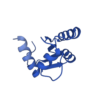 16908_8oj8_Lc_v1-2
60S ribosomal subunit bound to the E3-UFM1 complex - state 1 (native)