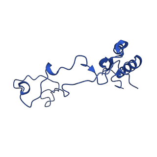 16908_8oj8_Le_v1-2
60S ribosomal subunit bound to the E3-UFM1 complex - state 1 (native)