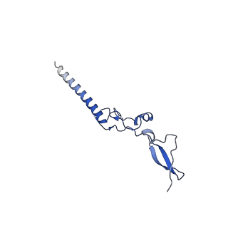 16908_8oj8_Lg_v1-2
60S ribosomal subunit bound to the E3-UFM1 complex - state 1 (native)