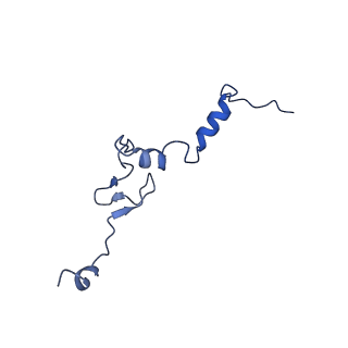 16908_8oj8_Lj_v1-2
60S ribosomal subunit bound to the E3-UFM1 complex - state 1 (native)