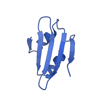 16908_8oj8_Lk_v1-2
60S ribosomal subunit bound to the E3-UFM1 complex - state 1 (native)