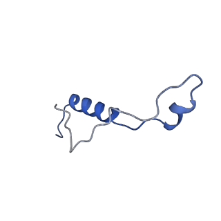 16908_8oj8_Ll_v1-2
60S ribosomal subunit bound to the E3-UFM1 complex - state 1 (native)