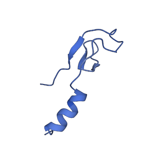 16908_8oj8_Lm_v1-2
60S ribosomal subunit bound to the E3-UFM1 complex - state 1 (native)