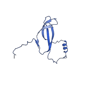 16908_8oj8_Lo_v1-2
60S ribosomal subunit bound to the E3-UFM1 complex - state 1 (native)