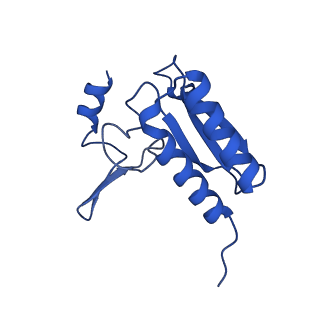 16908_8oj8_Lr_v1-2
60S ribosomal subunit bound to the E3-UFM1 complex - state 1 (native)