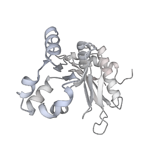 16908_8oj8_Lz_v1-2
60S ribosomal subunit bound to the E3-UFM1 complex - state 1 (native)