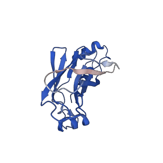 20083_6oj0_C_v1-5
Cryo-EM reconstruction of Sulfolobus polyhedral virus 1 (SPV1)