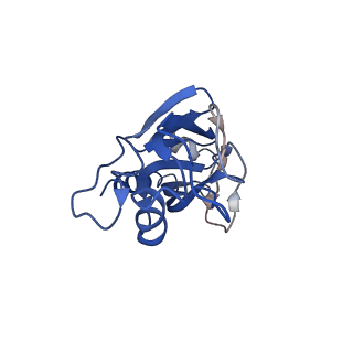 20083_6oj0_D_v1-5
Cryo-EM reconstruction of Sulfolobus polyhedral virus 1 (SPV1)