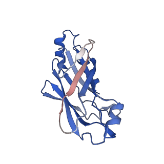 20083_6oj0_J_v1-5
Cryo-EM reconstruction of Sulfolobus polyhedral virus 1 (SPV1)
