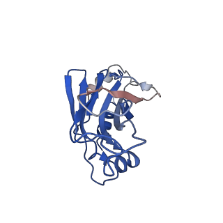 20083_6oj0_K_v1-5
Cryo-EM reconstruction of Sulfolobus polyhedral virus 1 (SPV1)