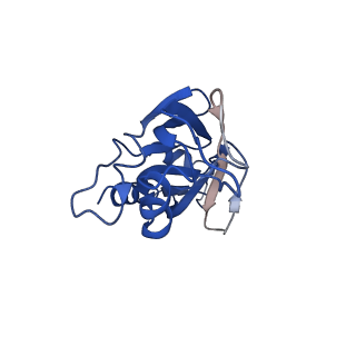 20083_6oj0_Q_v1-5
Cryo-EM reconstruction of Sulfolobus polyhedral virus 1 (SPV1)