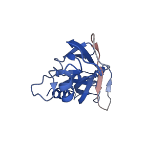 20083_6oj0_T_v1-5
Cryo-EM reconstruction of Sulfolobus polyhedral virus 1 (SPV1)